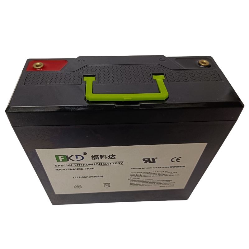 12V30AH鉛改鋰電池